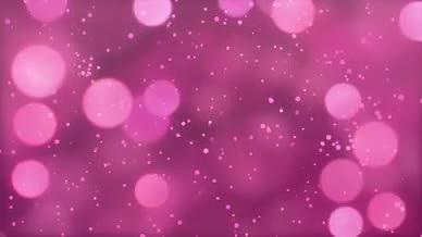 4k粉色红色唯美浪漫婚礼光斑粒子背景视频视频的预览图